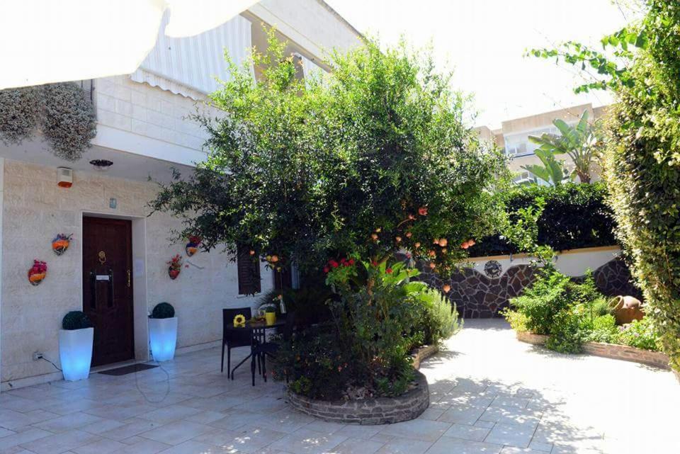 Profumo Di Mare B&B Gallipoli Eksteriør billede
